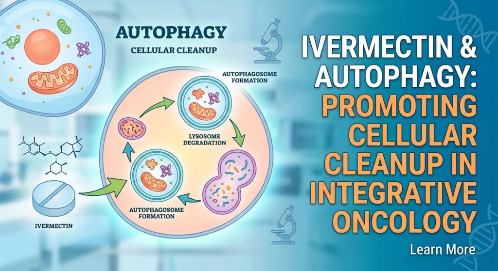Ivermectin and Autophagy: Promoting Cellular Cleanup in Integrative Oncology